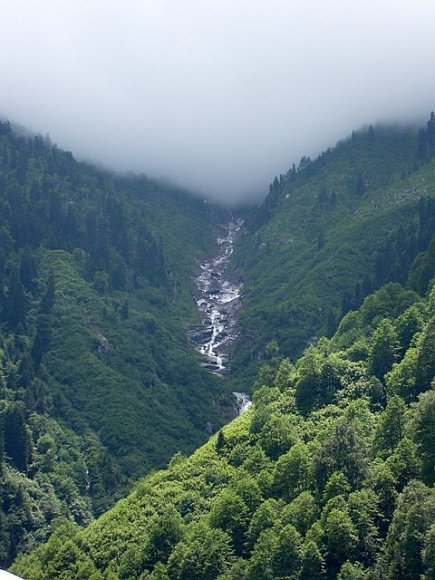 Ayder yaylası