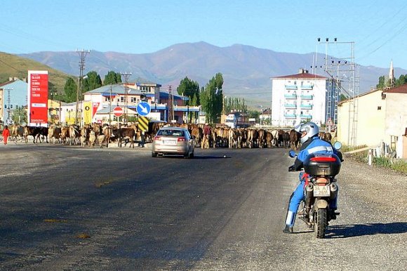 Bizde mecburen yol kenarında bekledik.