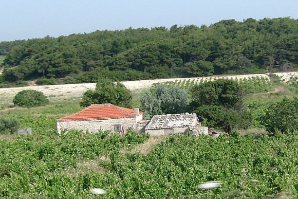 Ada'da bir bağ evi.