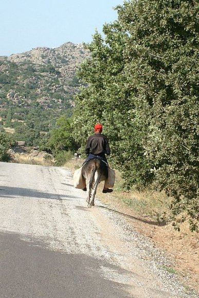 Yolda eşekli, traktörlü insanlara korna veya selam yaptık. Hiçbiri yolda cevap alamadığımız bazı motorcu arkadaşlara inat cevabı
