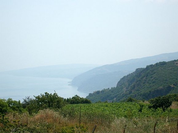 Uçmakdere yolu üzerinden manzara.