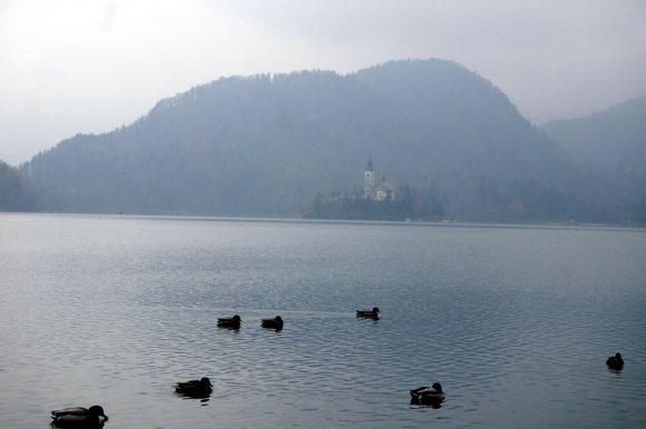 Slovenya, Bled Gölü