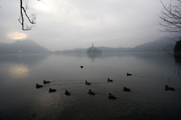 Slovenya, Bled Gölü