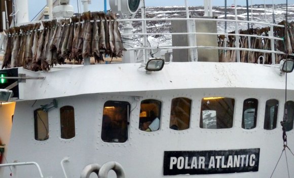 Hammerfest , Kurumaya bırakılmış codfish, morina balıkları