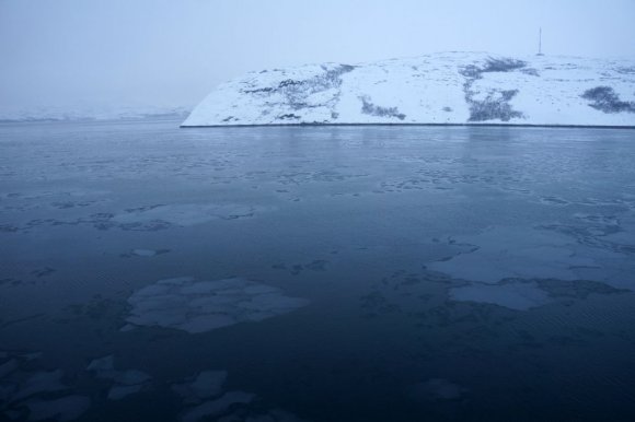 Kirkenes Kuzey Buz Denizi, Barents Denizi