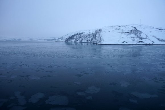 Kirkenes Kuzey Buz Denizi, Barents Denizi