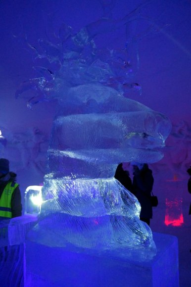 Kirkenes snow hotel,  buz otel bardaki ren geyigi heykeli