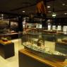 Stokmarknes Hurtigruten müzesi