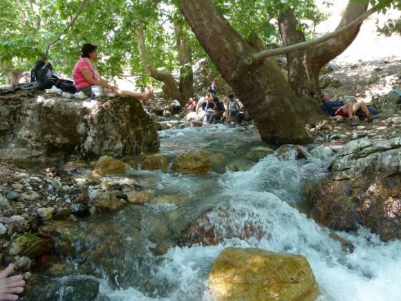 Yürüyüş bitiminden sonra dere kenarında yorgunluk giderildi. Foto safariye katılan katılımcılar için kesilen keçi ikram edildi.