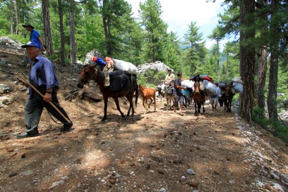 Yürüyüş boyunca eşyalarımızı taşımak için katırlar kullanıldı. Böylece biz de fotoğraf teçhizatımız ve günlük ihtiyaçlarımızın o