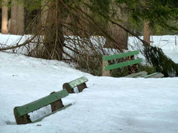 Kara Orman içindeki otelimize yerleştikten sonra orman içlerinde kısa bir yürüyüş yaptık. Yol kenarlarında oldukça derin kar vardı.