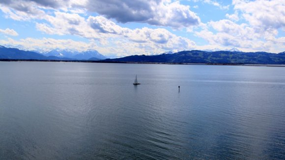 Bodensee Gölü üzerinde bir yelkenli.