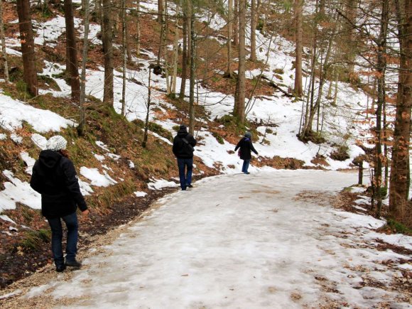Neuschwanstein Şatosu'ndan aşağı inerken kardan dolayı fazla tercih edilmeyen yoldan aşağı indik...