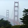 Golden Gate Köprüsü - Ağaçların arasından