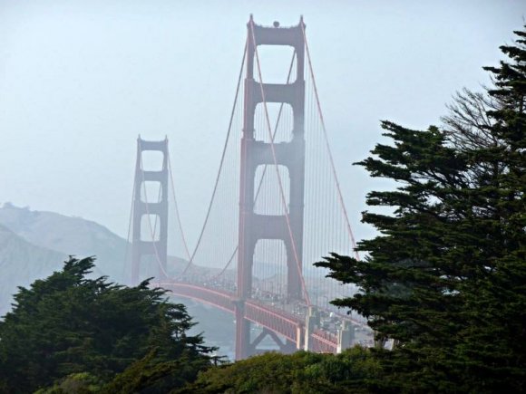 Golden Gate Köprüsü - Ağaçların arasından