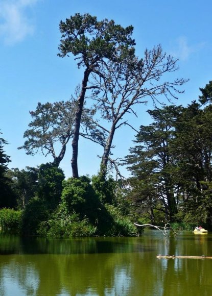 Golden Gate Park'taki yapay göl.