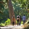 Golden Gate Park'ta yürüyüş.