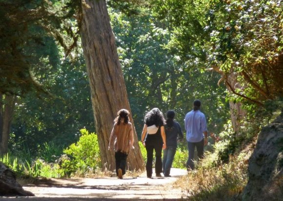 Golden Gate Park'ta yürüyüş.