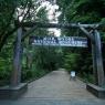 Muir Woods'un girişi.