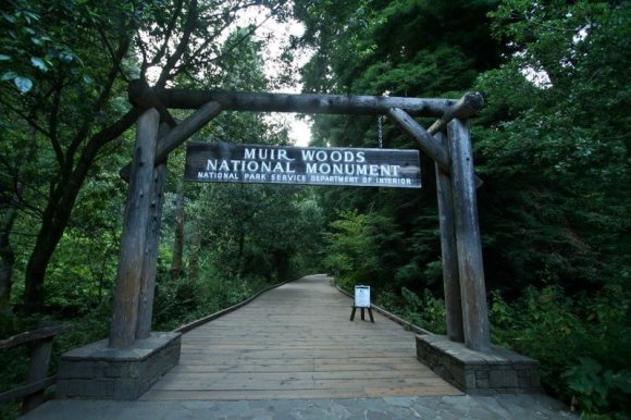 Muir Woods'un girişi.