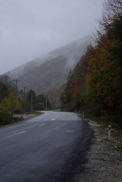 Abant yolu. 22km yolun zaman zaman manzarası çok güzel.