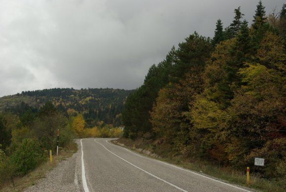 Bartına doğru sürekli alçalan yol boyu ormanlar.