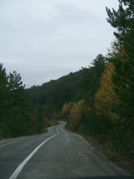 Pınarbaşı'na giden yol yer yer yükselen ormanlar arasından geçiyor.