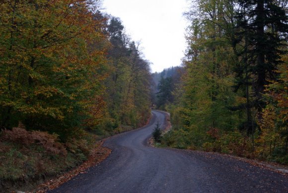 Mengen-Eskipazar arasındaki yol manzarası.