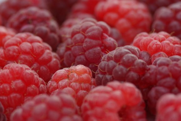 Ahududu , Frambuaz, Rubus idaeus. (Bu türün tam olarak hangi tür olduğunu bilemiyorum, latince adlandırmasında)