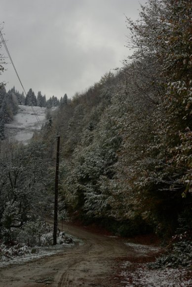 Arpa Düzüne çıkan yol