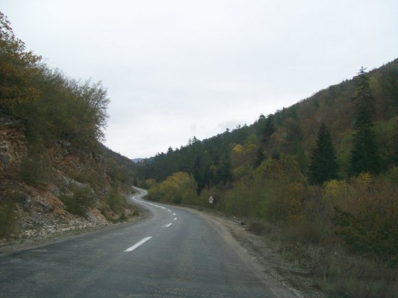 Azdavay - Pınarbaşı arasındaki ormanlık yol.