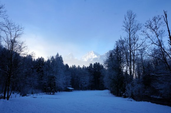 Berchtesgaden'den Konigssee Gölü'ne giden yürüyüş yolu.