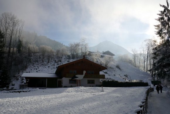 Almanya Berchtesgaden Konigssee gölü'ne giden yol.