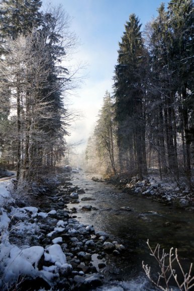 Berchtesgaden'den Konigssee Gölü'ne giden yürüyüş yolu.