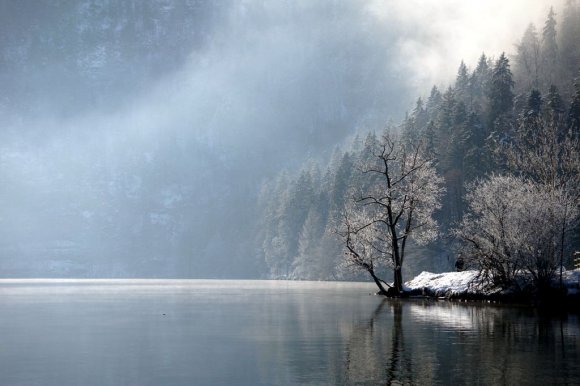 Konigssee Gölü.