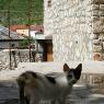 Mostar köprüsüne giderken...