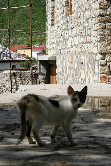 Mostar köprüsüne giderken...