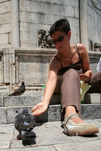 Onofrio Çeşmesi`nde ku;lari besleyen bir kadın.