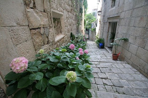 Korcula adası eski şehirde bir sokak