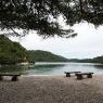 Mljet adasının %72 si ormanlarla kaplı. Adanın batı tarafı Mljet ulusal parkı olarak adlandırlıyor. Adada birbirine ve denize uf