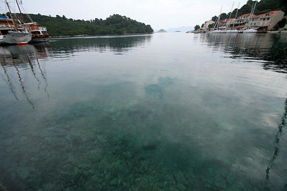 Mljet adası, kaldığımız Pomena dene yerin sahili.