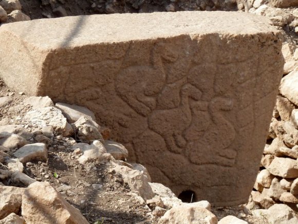 Göbeklitepe'deki dikilitaşlar üzerindeki kabartmalar