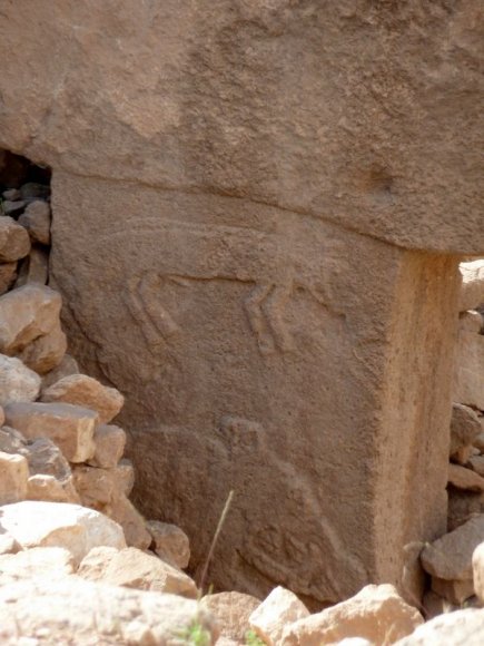 Göbeklitepe'deki dikilitaşlar üzerindeki kabartmalar