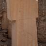 Göbeklitepe'deki dikilitaşlar üzerindeki kabartmalar