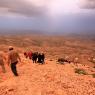 Batı Terası'ndan İniş, Nemrut Dağı