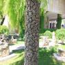 Üzüm kabartmalı sütun, Şanlıurfa Müzesi