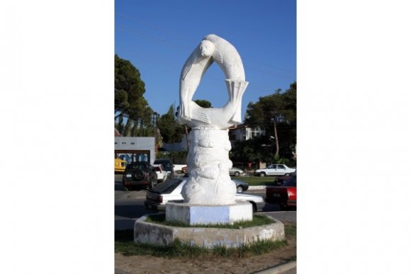 Foça'lıların simgesi nesli tükenme tehlikesi ile karşı karşıya olan Akdeniz Foku. Aslında tarihte Foça'nın simgesi horozmuş.