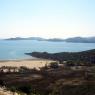 Kaş yolunda koylar.