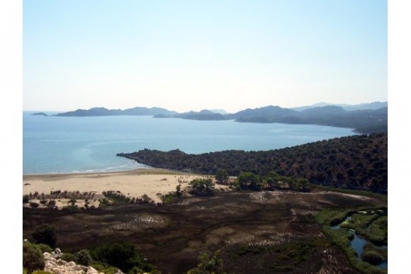 Kaş yolunda koylar.