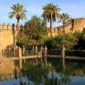 Kraliyet Sarayı (Alcázar de los Reyes Cristianos) bahçesi.